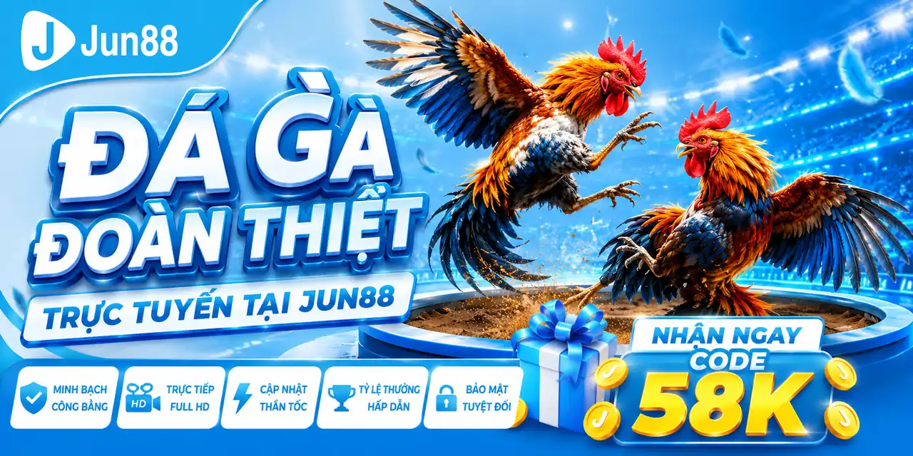 Những trận đấu gà đoản thiệt kịch tính thu hút đông đảo cược thủ